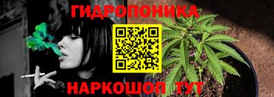 ешки Тверь
