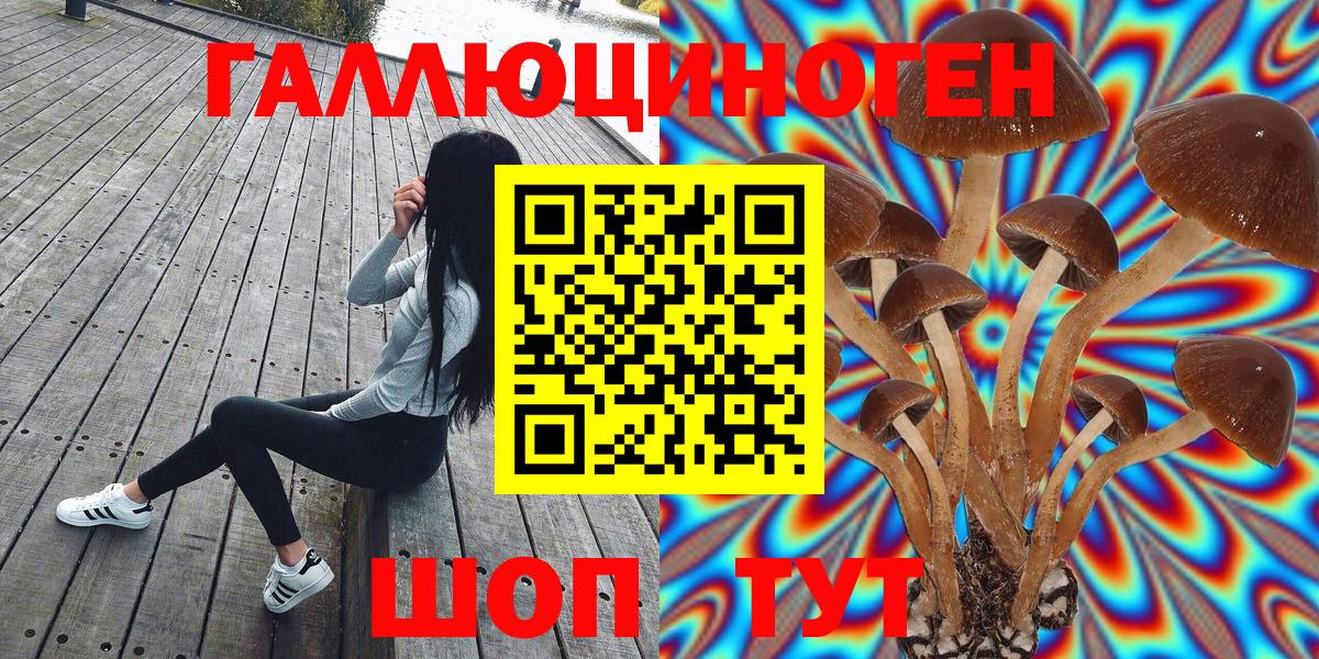Псилоцибиновые грибы Psilocybe  цены   Октябрьский  Вход с VPN 